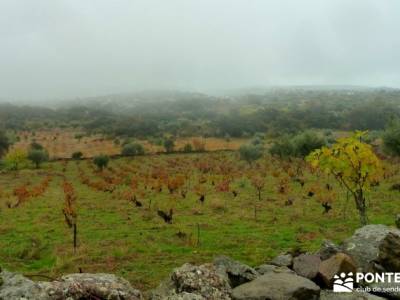 Senda Viriato; Sierra San Vicente; hiking madrid hoces del riaza rey de patones